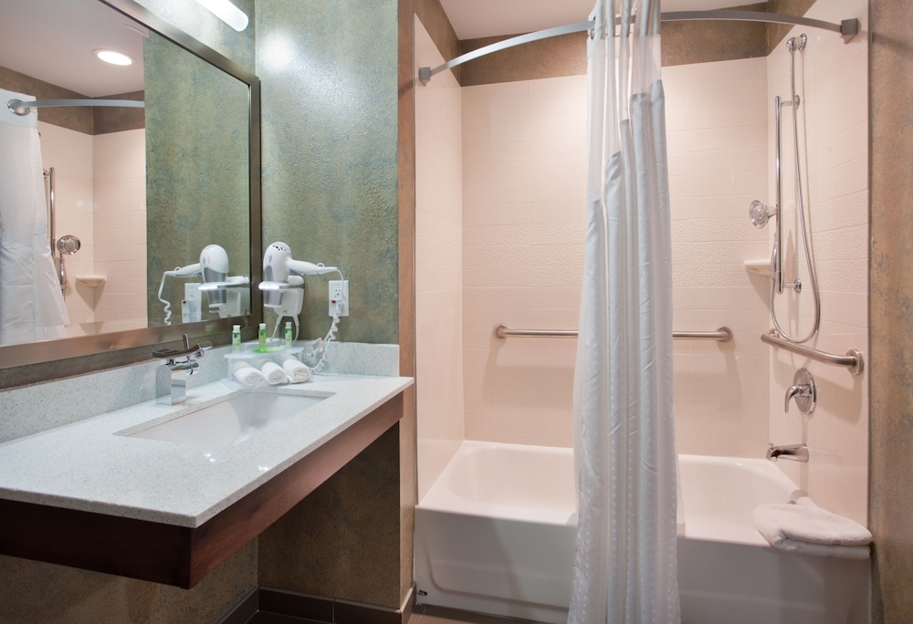 Holiday Inn Express Suites St Louis Airport 19/58