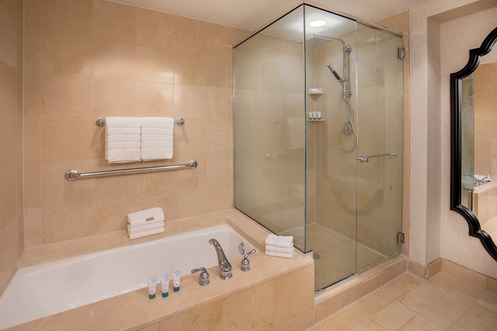 Westin Riverwalk Hotel 15/67