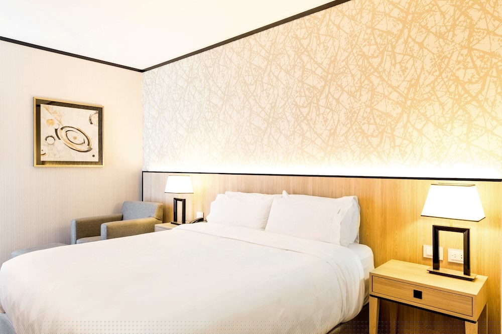 Holiday Inn Rosario 21/80