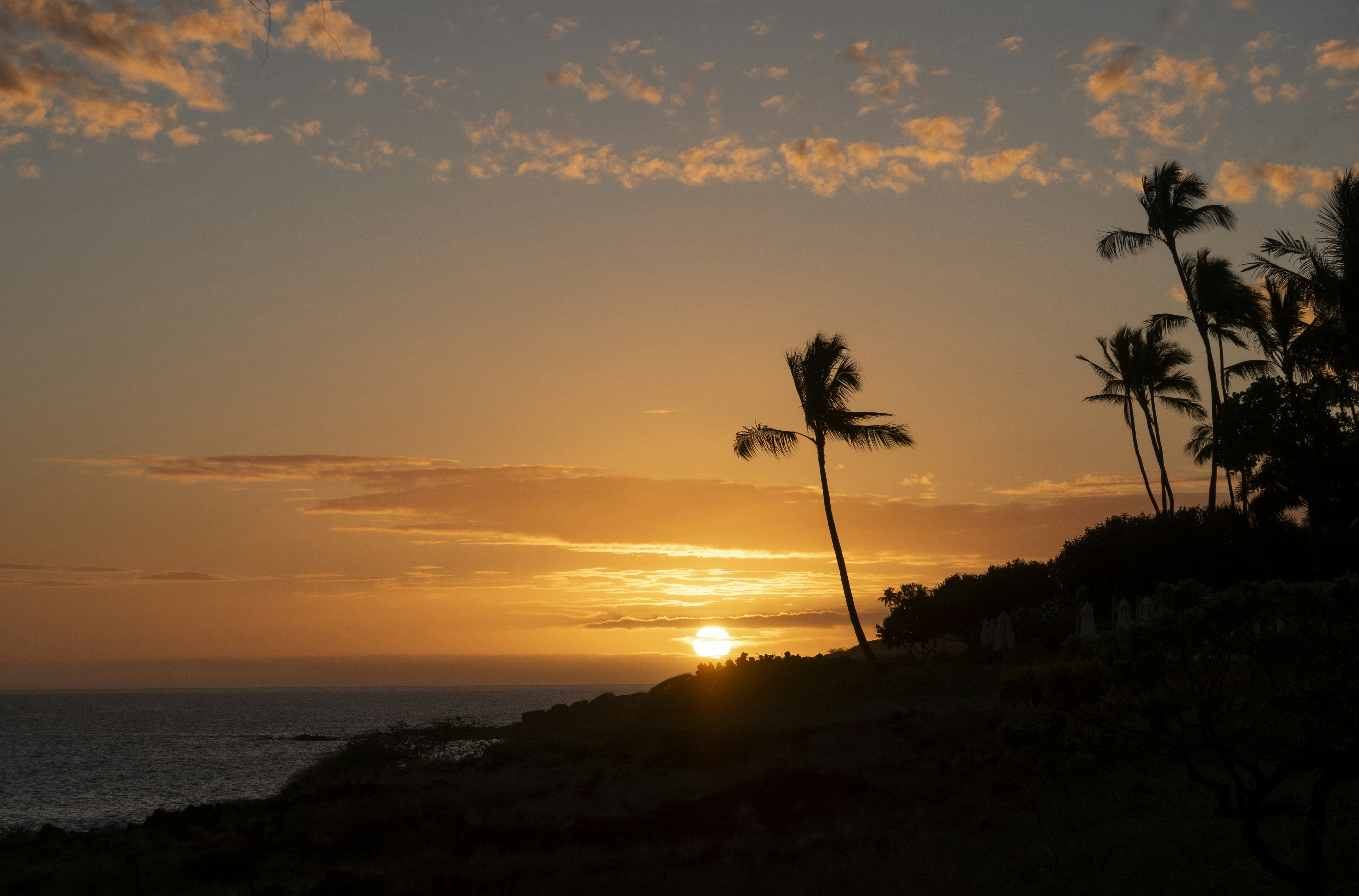 Four Seasons Resort Lanai 74/80