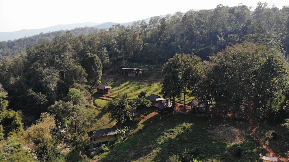 Chiang Mai Elephant Friends 36/50