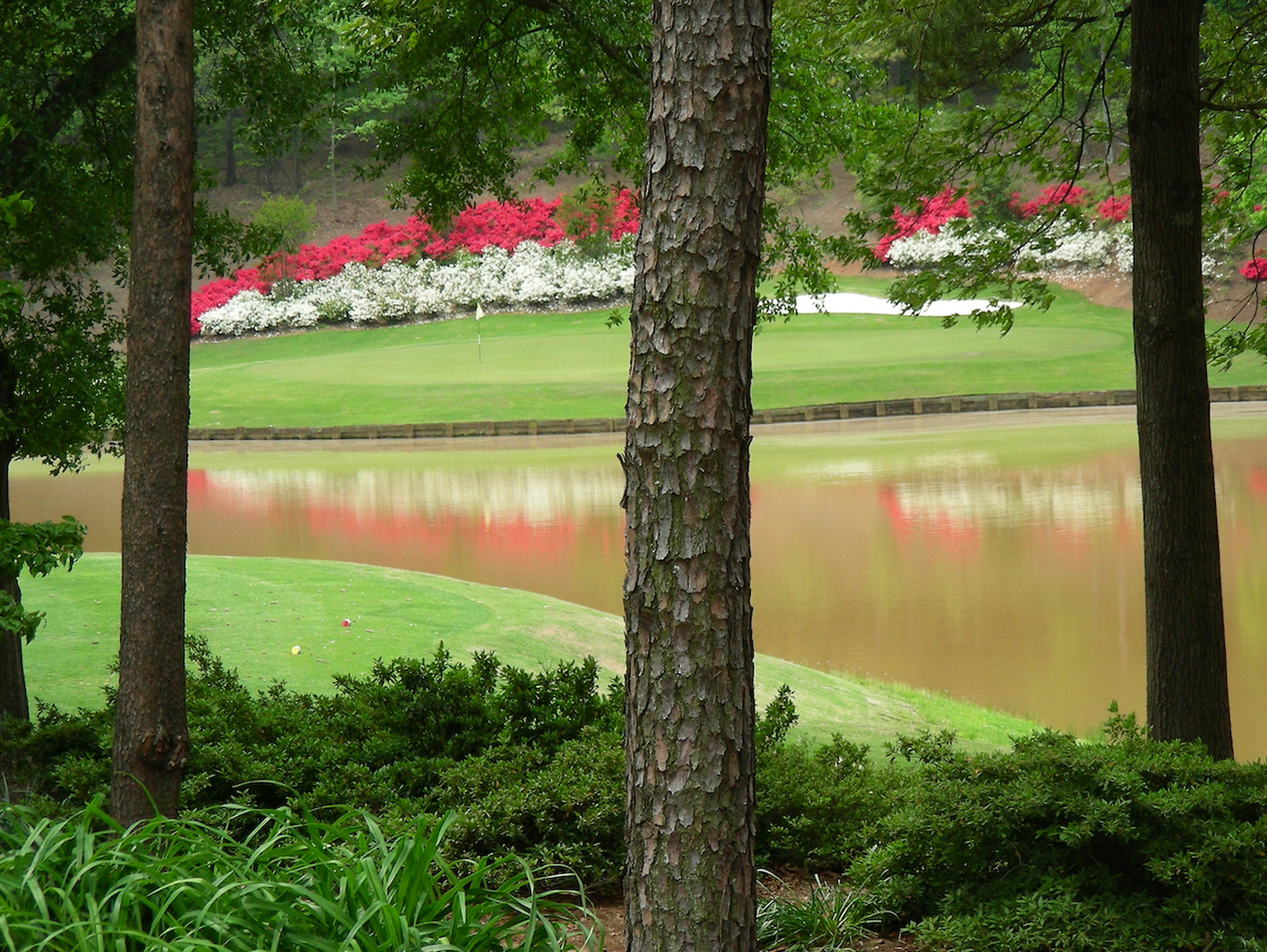 Embassy Suites Greenville Golf Resort Conference Center 37/38