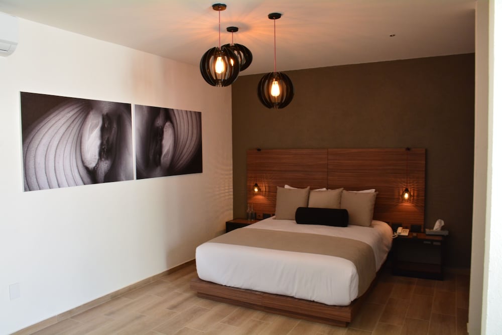 Ilo Rojo Hotel Boutique San Miguel de Allende 11/50