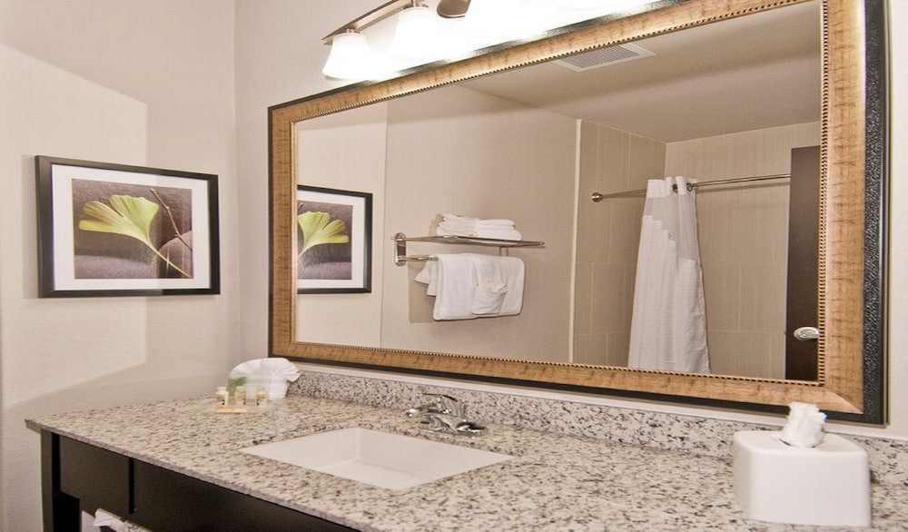 Holiday Inn Austin Airport 19/58