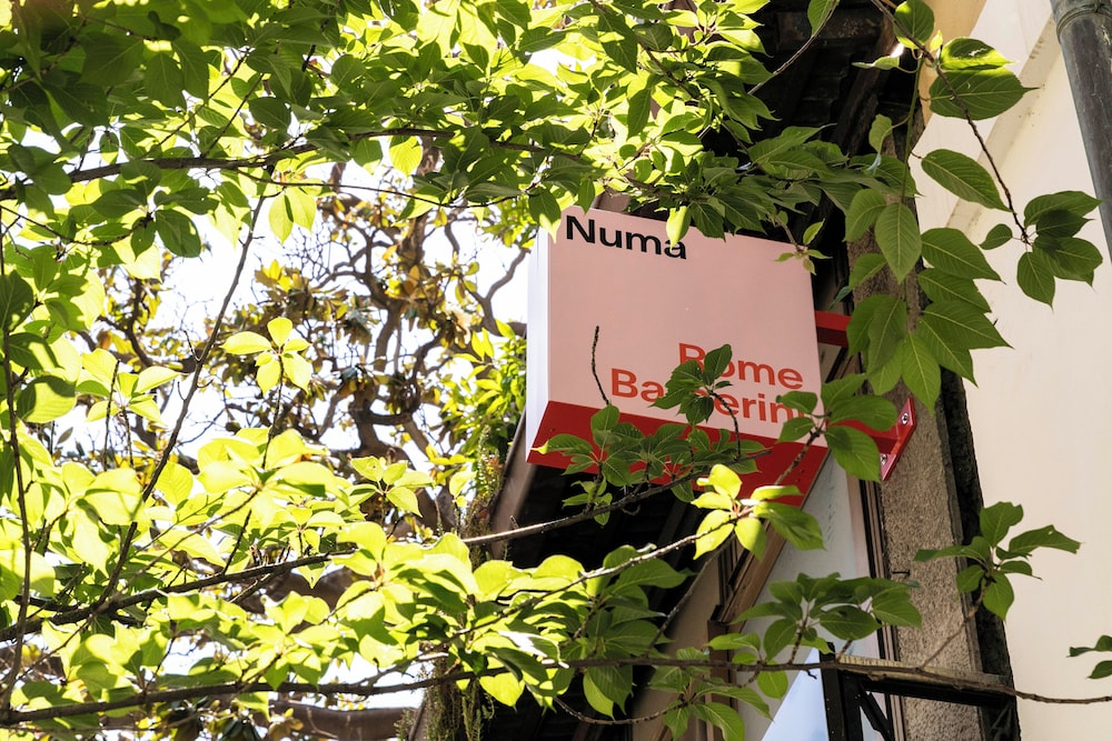 Numa Rome Barberini 51/58
