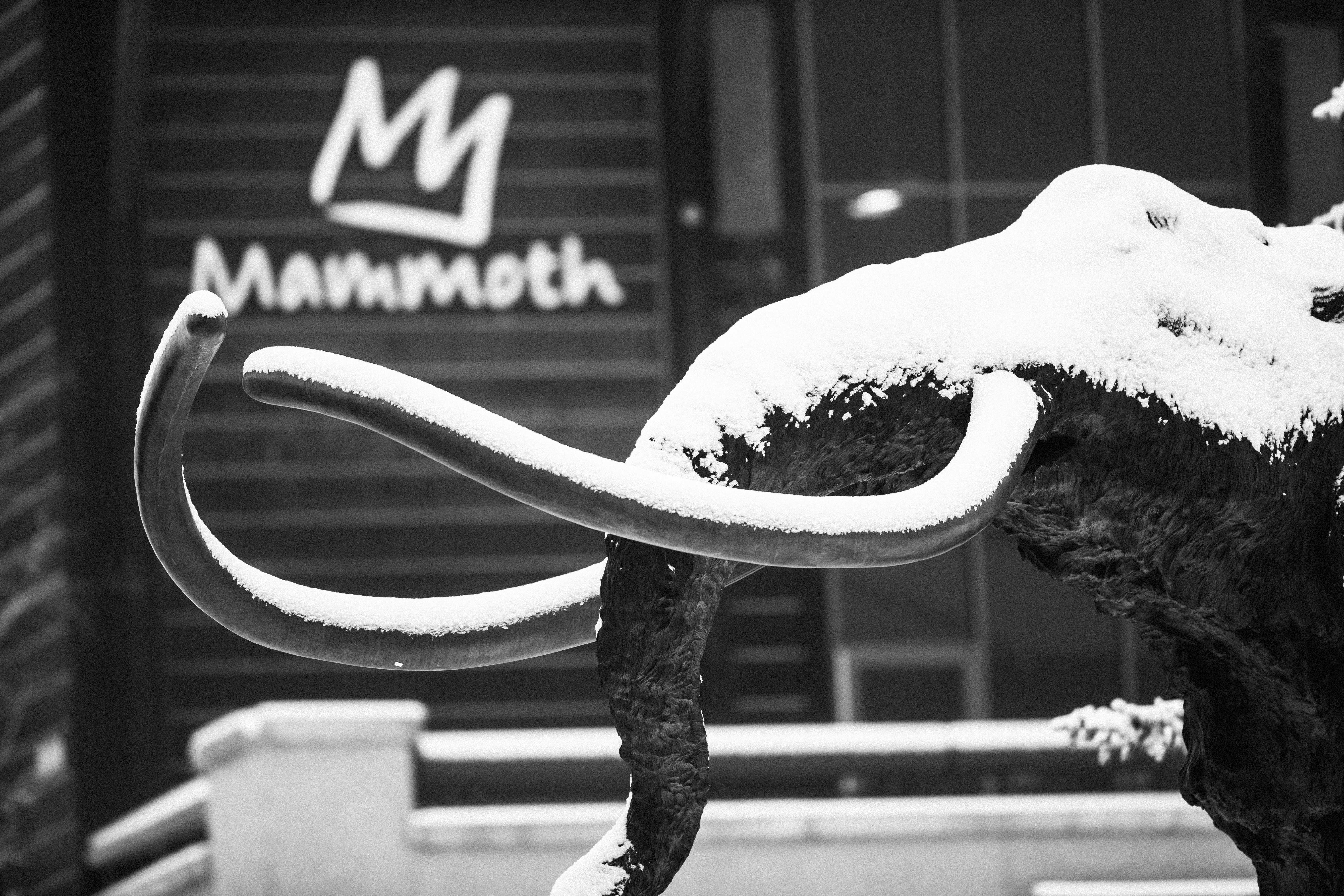 Mammoth Mountain Inn 40/78
