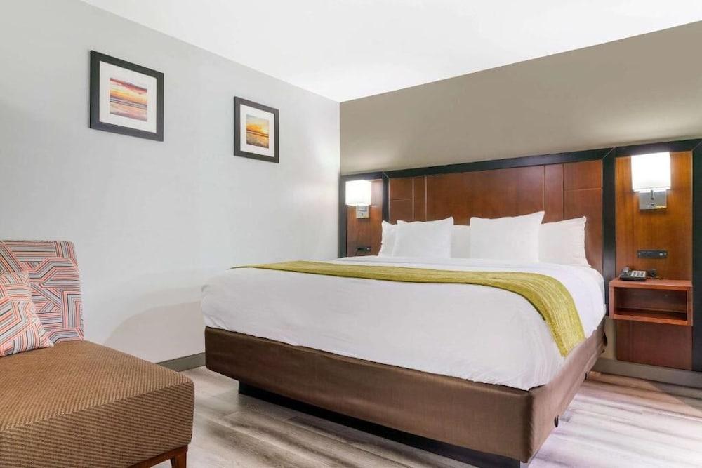 Deluxe, King Bed