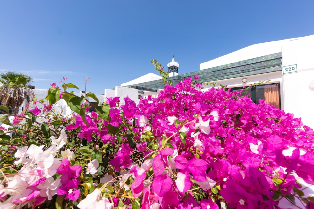 Bitacora Lanzarote Club 36/44