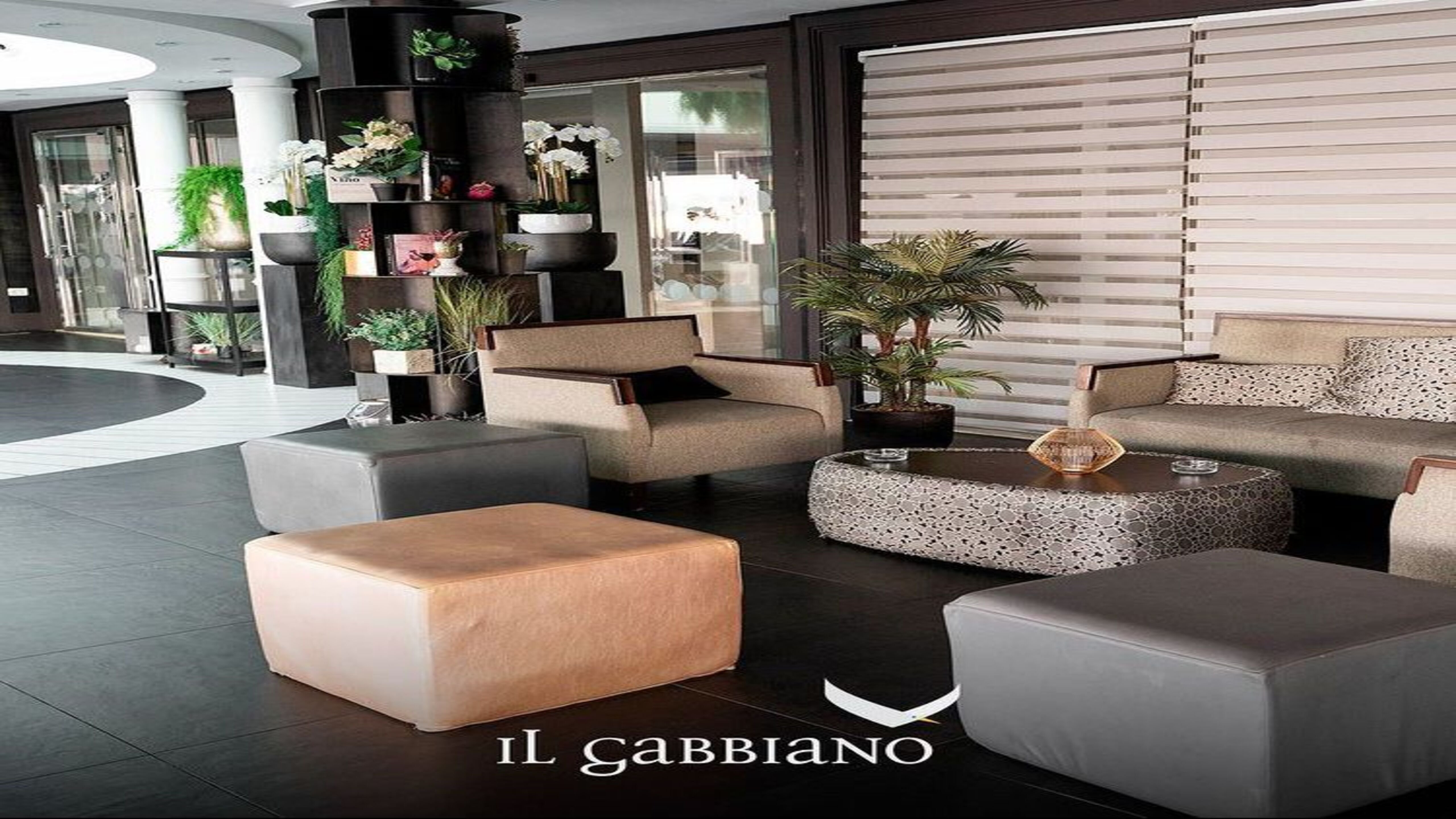 Il Gabbiano 46/55
