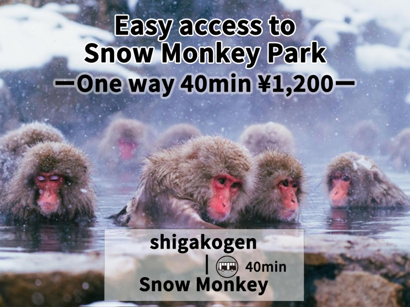Shiga Swiss Inn 14/33