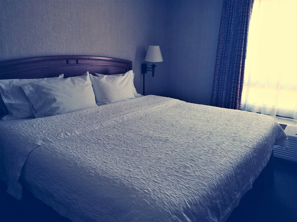 Hampton Inn By Hilton Saltillo 13/78