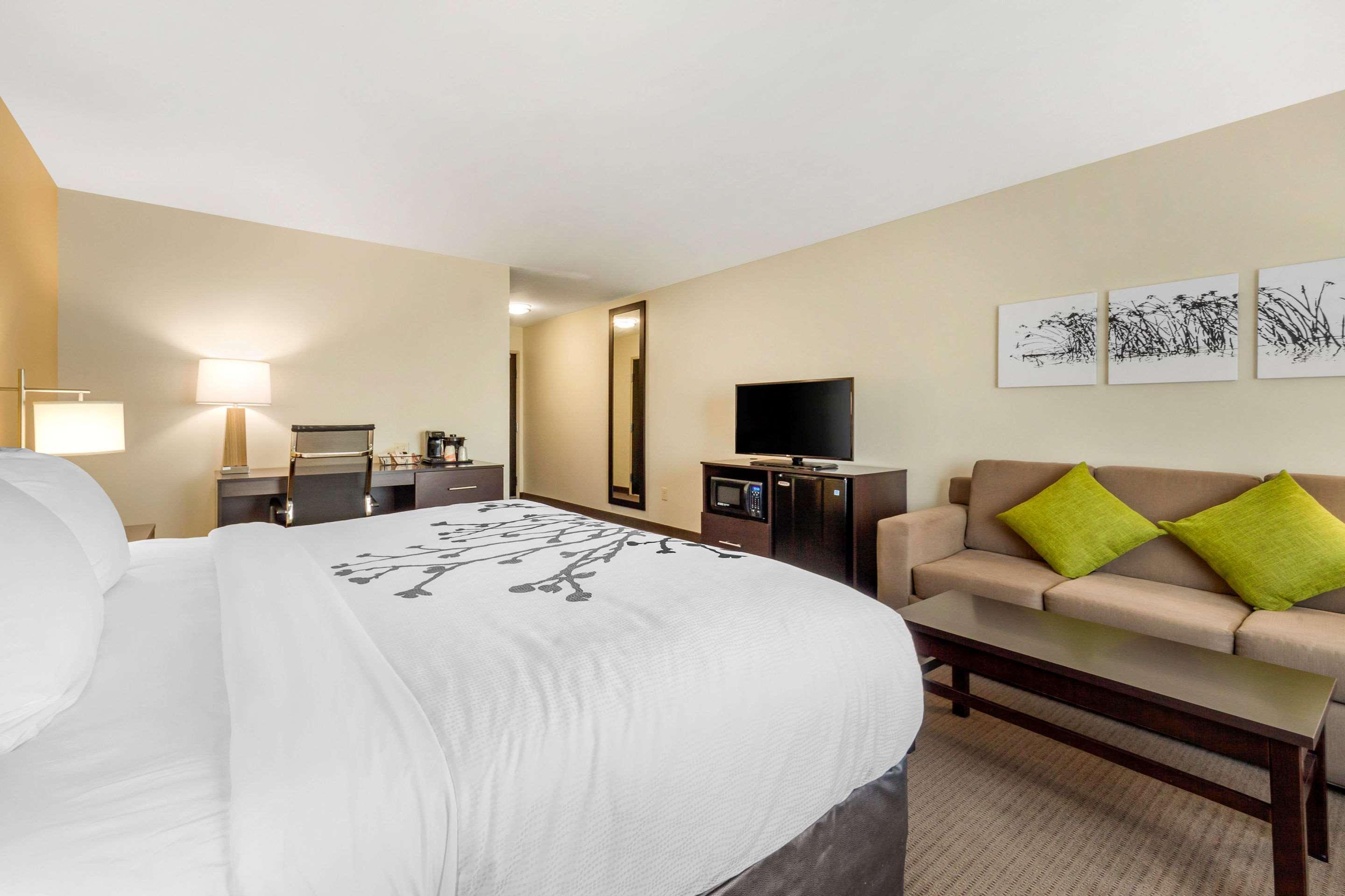 SUITE, KING BED, ACCESSIBLE