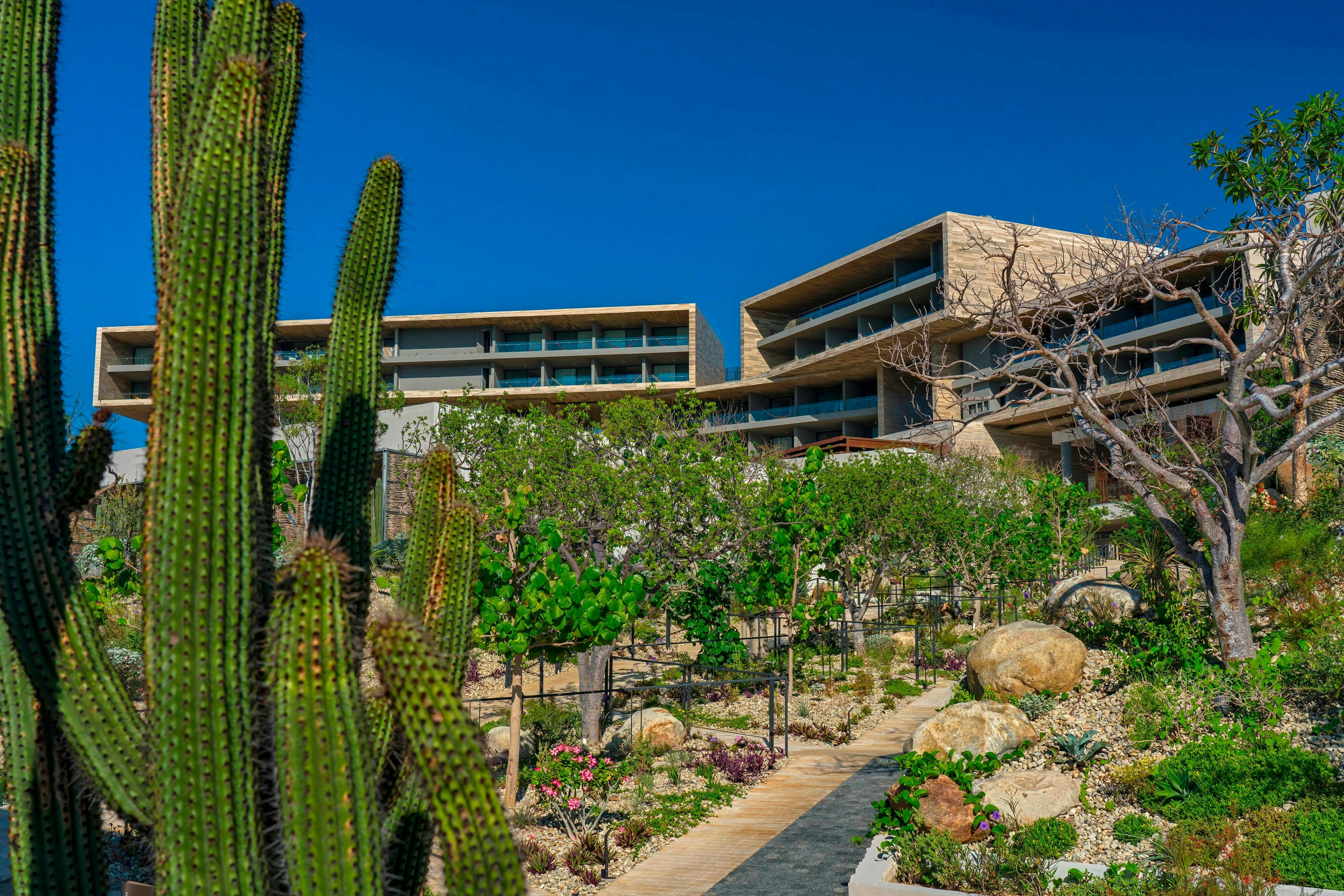 Solaz A Luxury Collection Resort Los Cabos 28/30