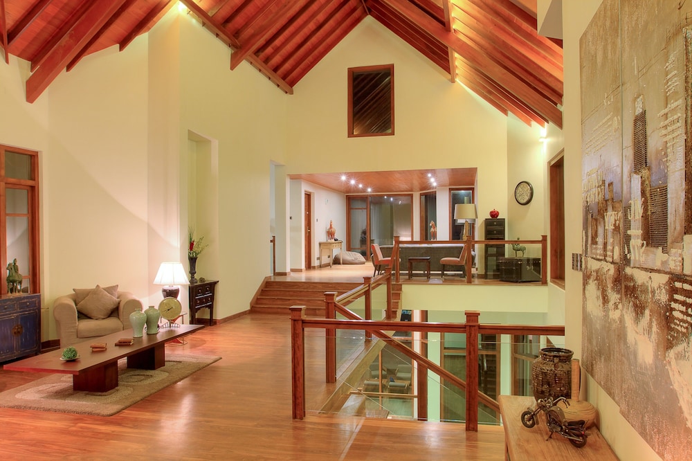 Tea Plant Nuwara Eliya 33/49