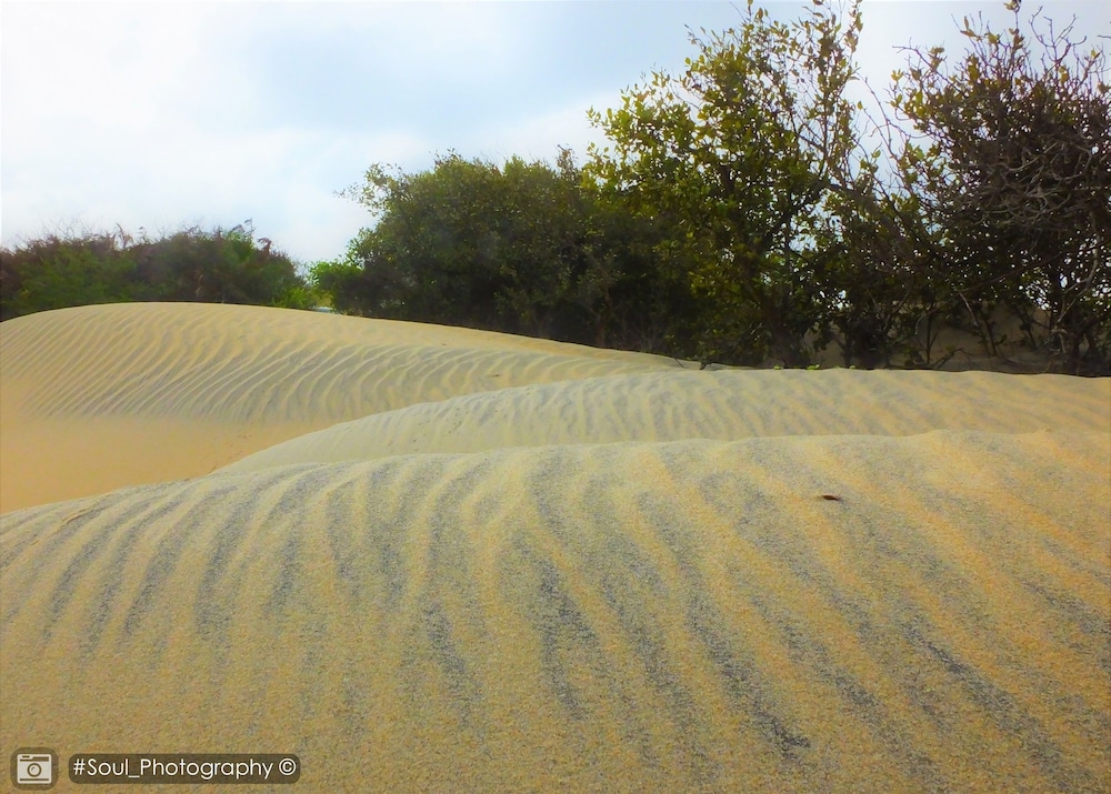 Sands Kalpitiya By GLN 29/42