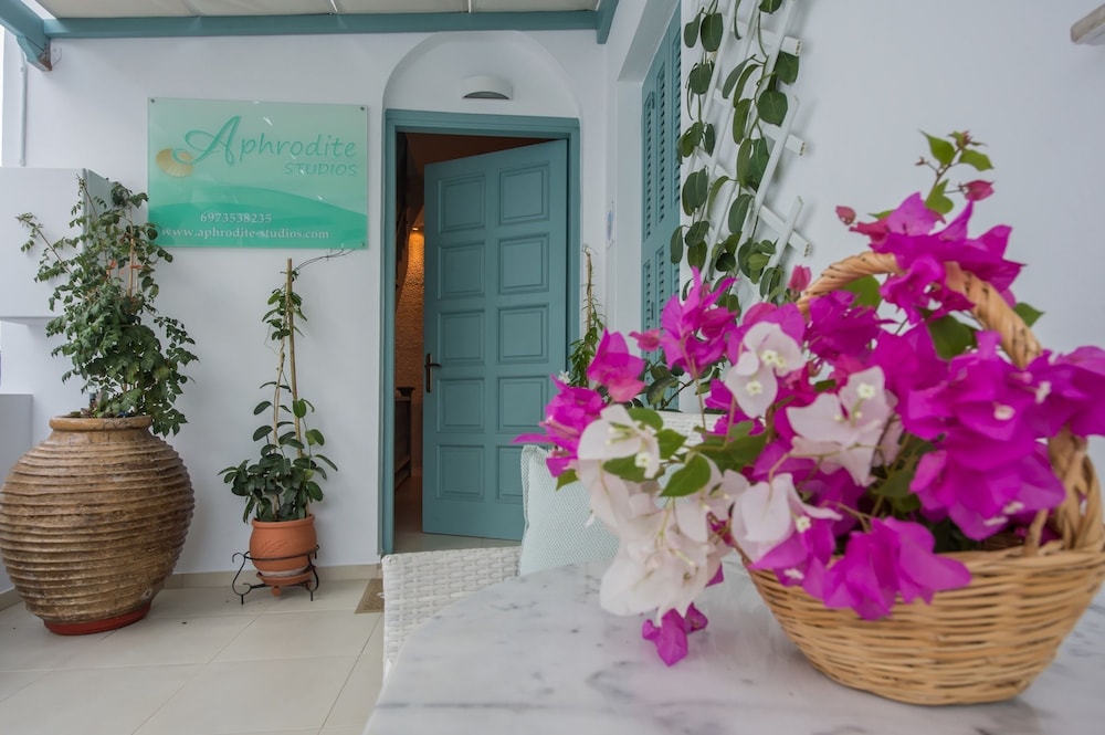 Aphrodite Studios 12/50