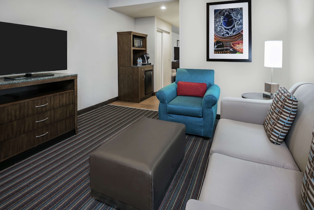 Hilton Garden Inn San Antonio At The Rim 31/55