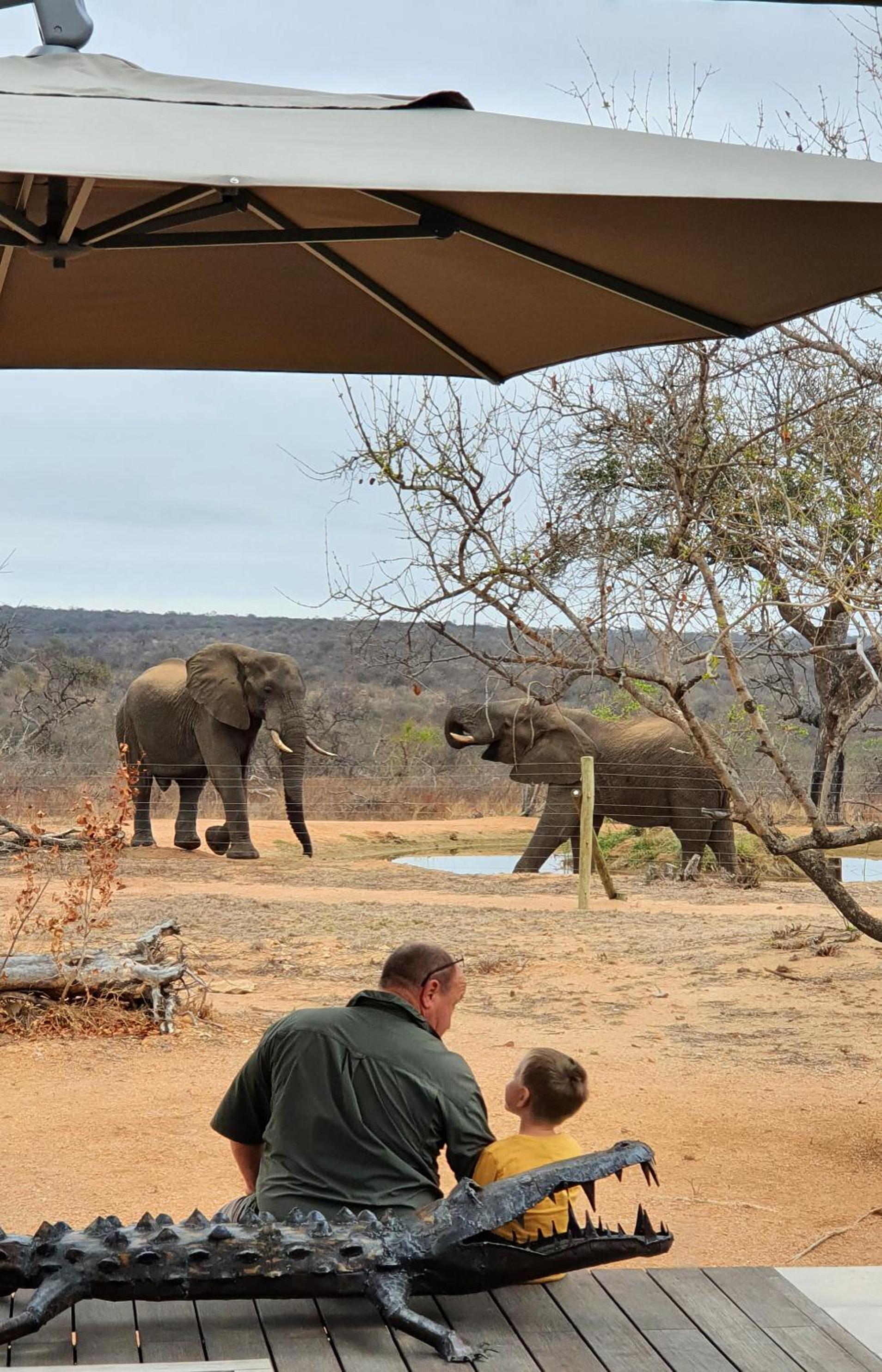 Imagine Africa Luxury Tented Camp 19/50