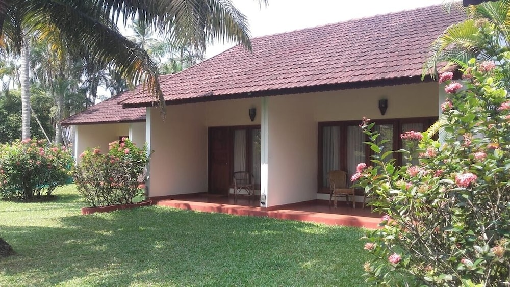 Abad Whispering Palms 64/66