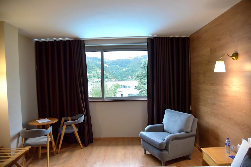 Douro Park Hotel 33/75