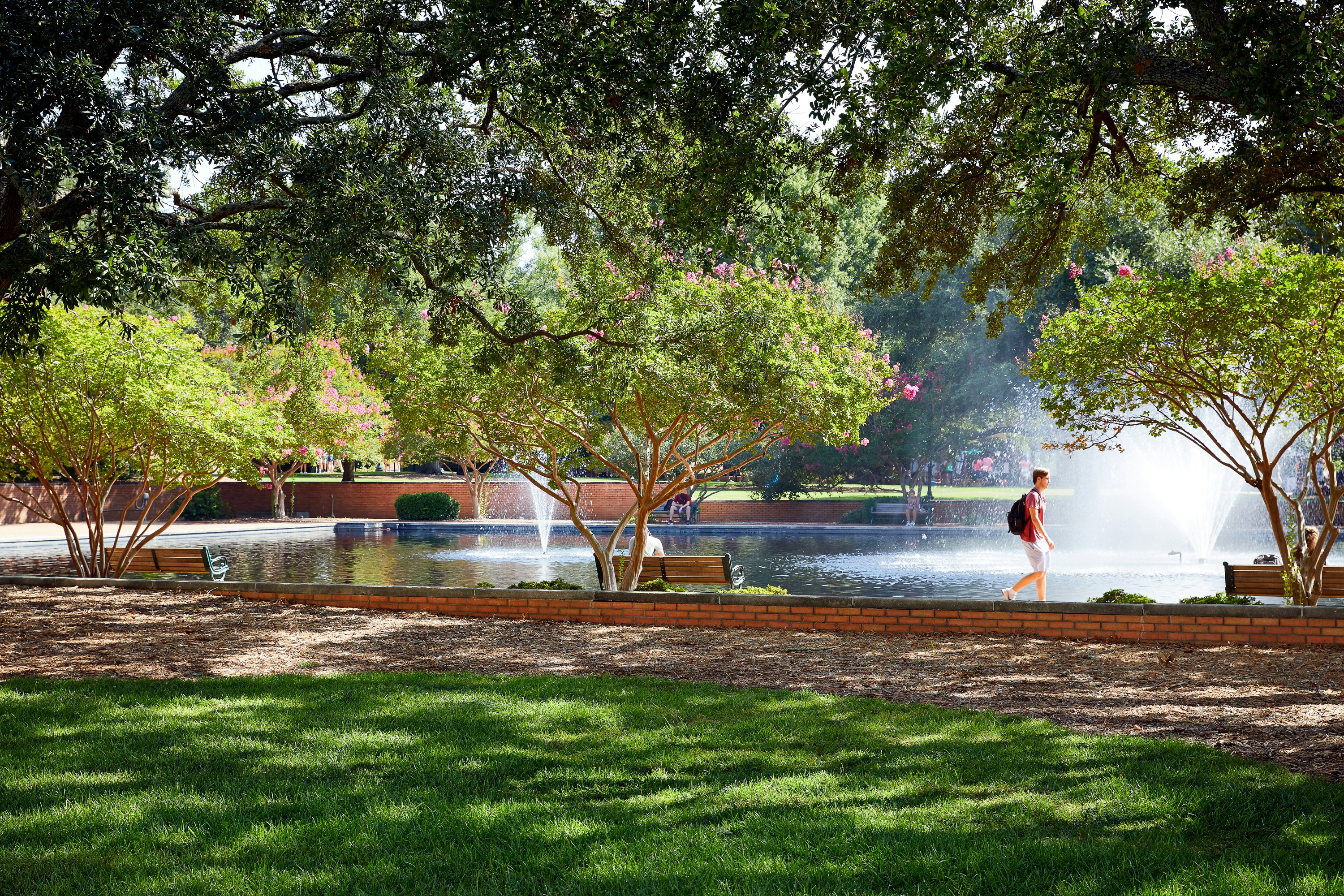 Graduate by Hilton Columbia, S.C. 81/82