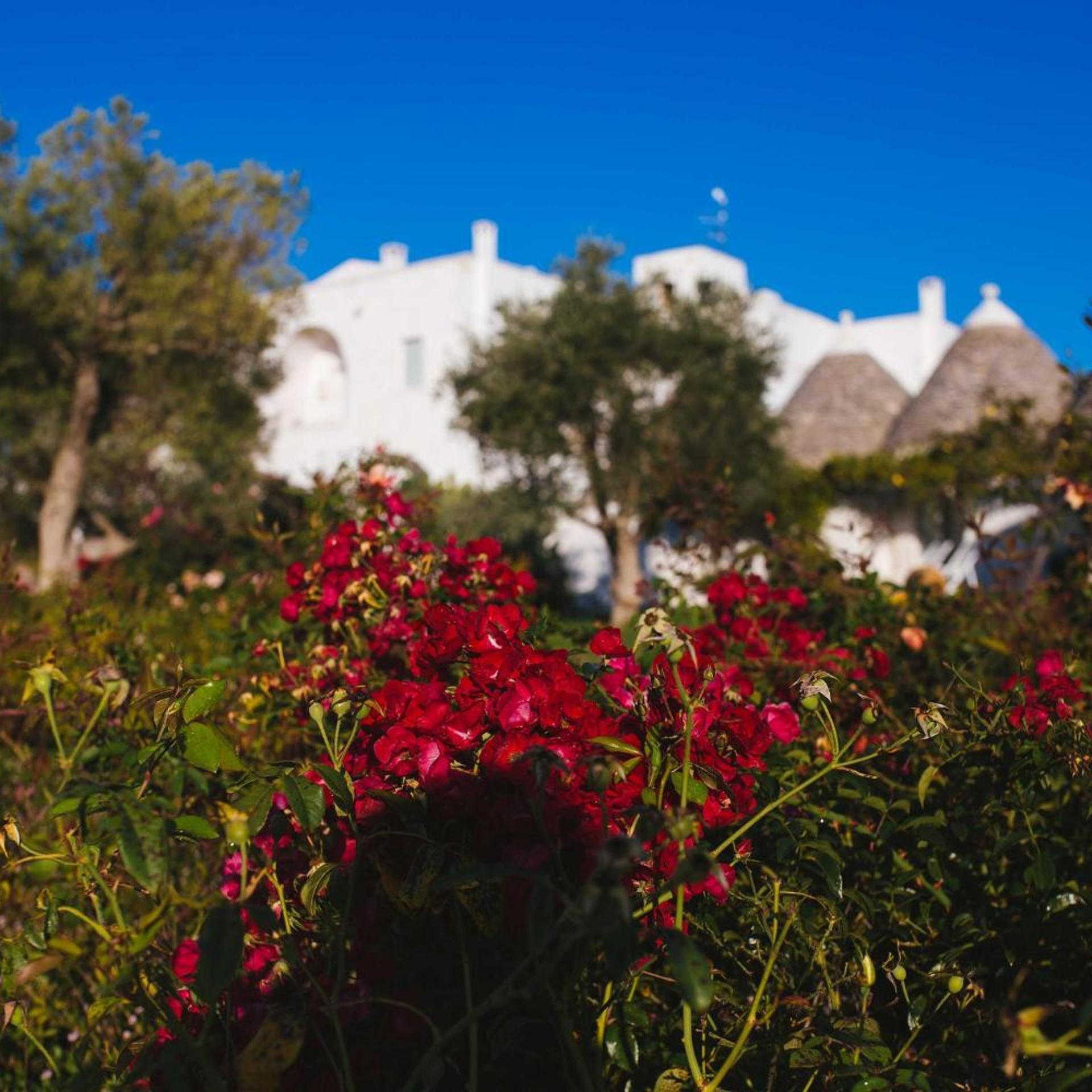 MASSERIA CERVAROLO 49/54