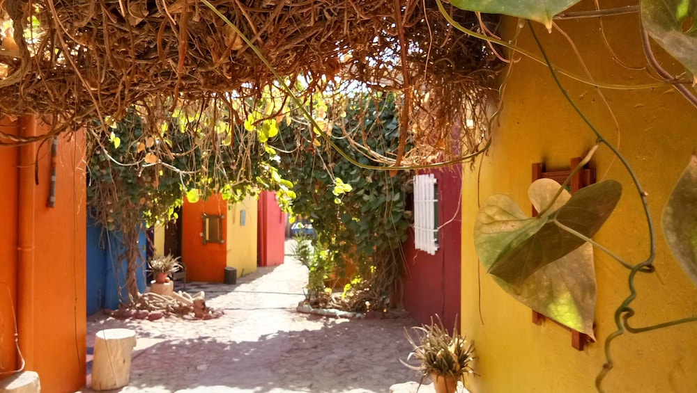 Bedouin Garden Village 8/68