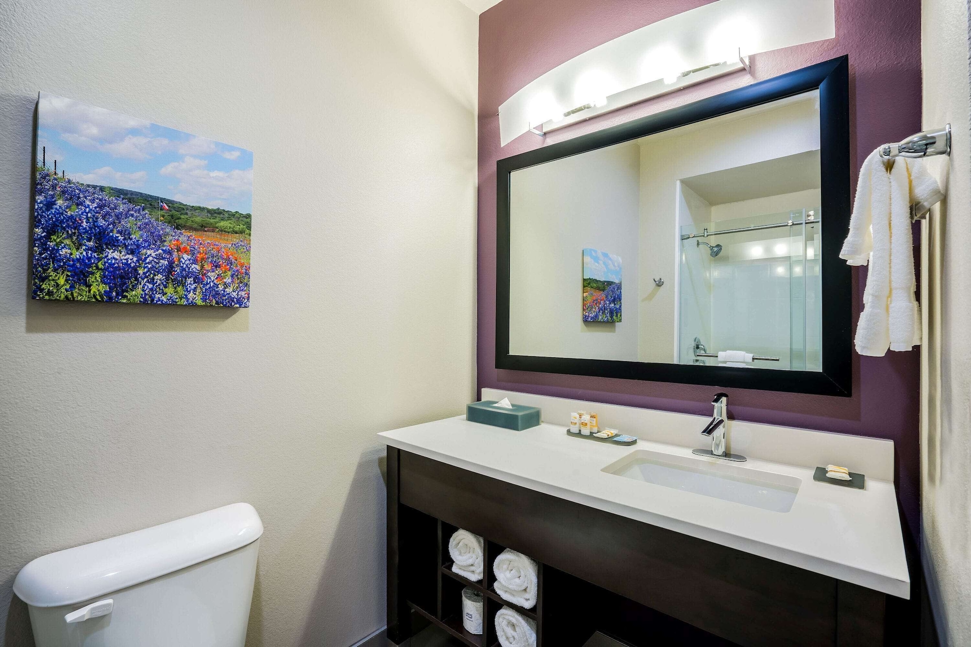 غرفة ديلوكس بسرير كينج لذوي الإعاقة، La Quinta Inn And Suites By Wyndham Houston Cypress 5/6