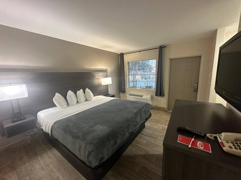 Econo Lodge St. Petersburg Central 15/54