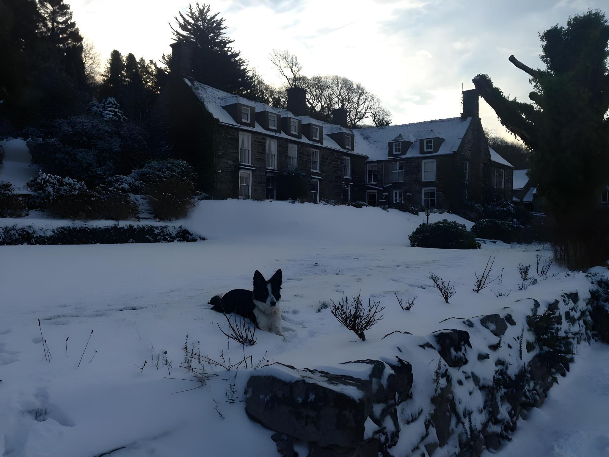 Maes Y Neuadd Country House 1/27