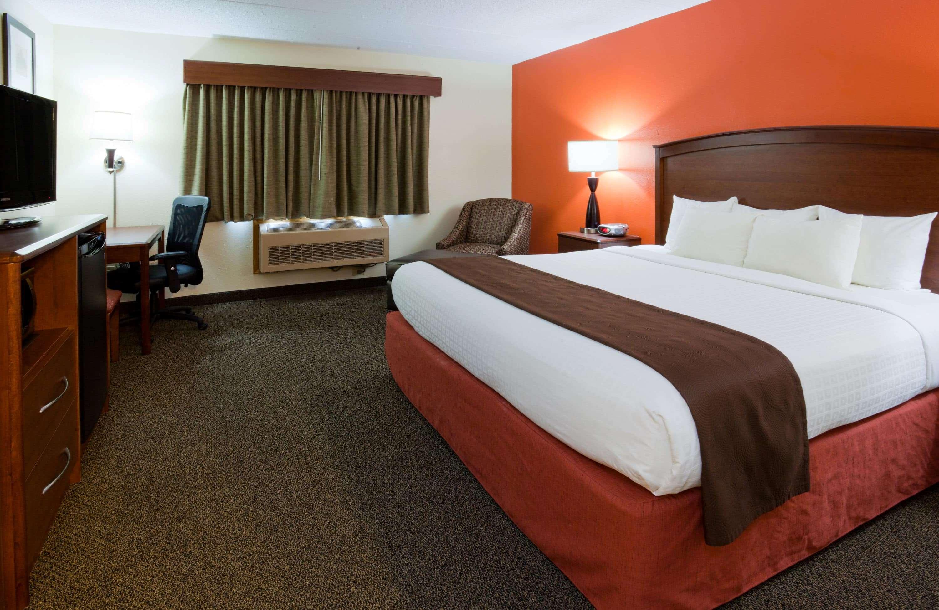 Suite, King Bed
