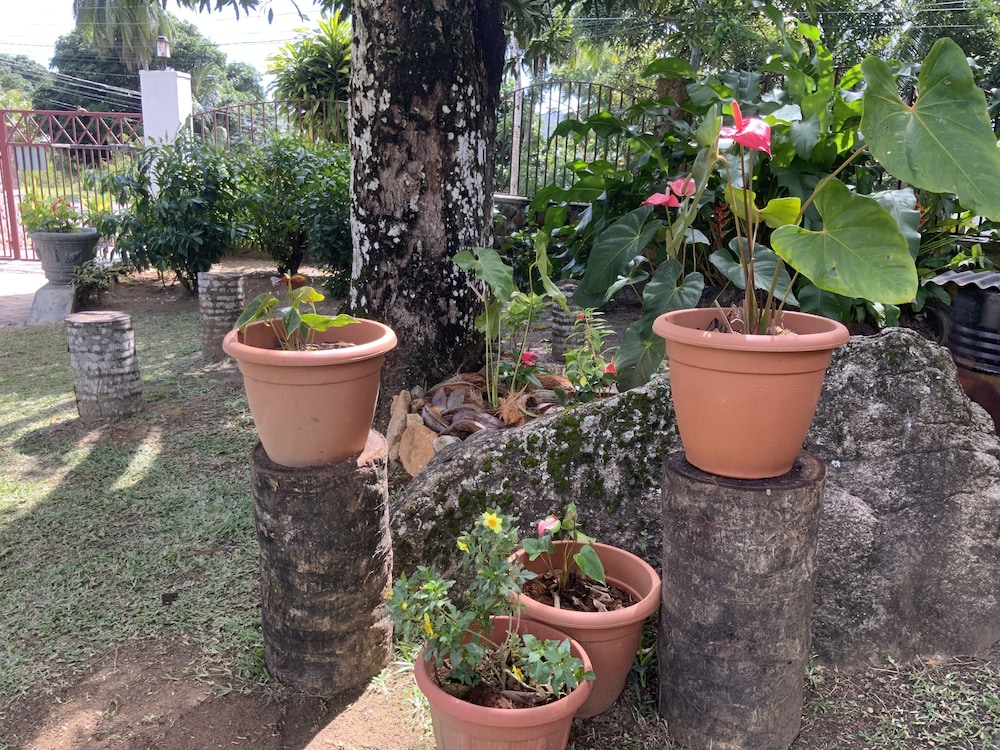 The Orchard Self-Catering Villa 22/50