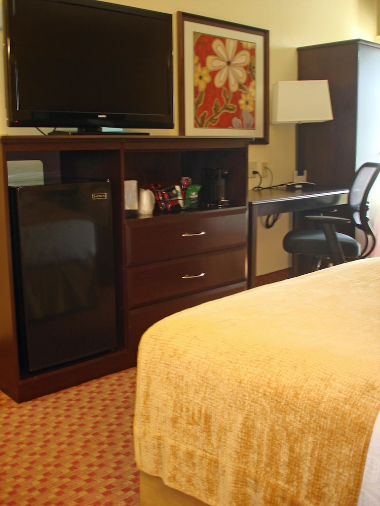 Spark by Hilton Orlando near SeaWorld 17/39