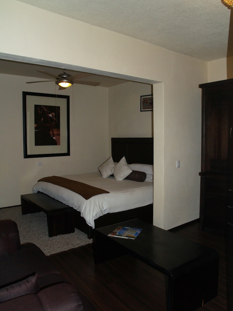 Hotel Del Portal San Miguel de Allende 24/50