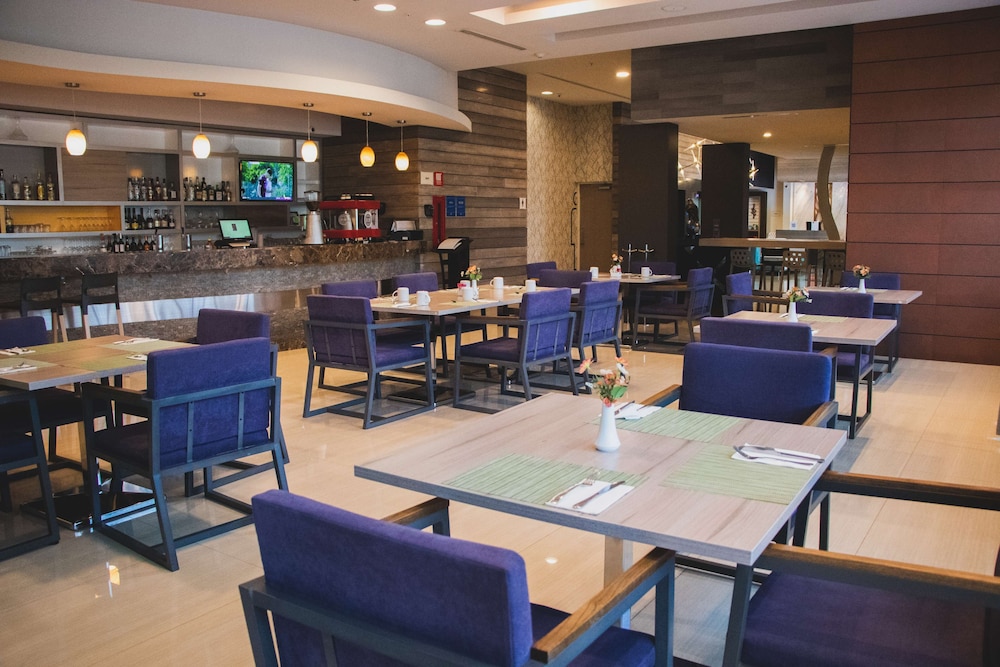 Hilton Garden Inn Leon Poliforum Ex Lq Hotel By La Quinta Leon Poliforum 39/56