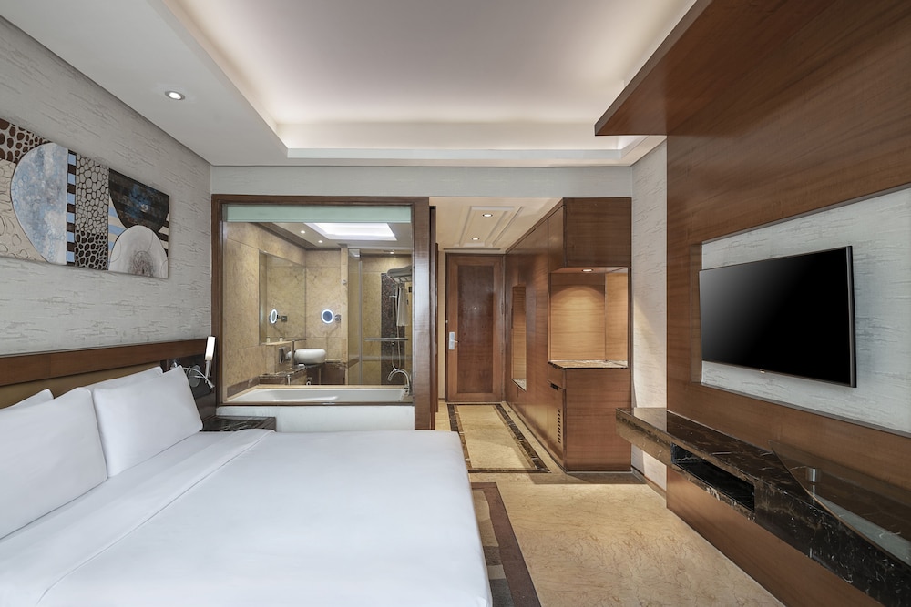 Radisson Blu Hotel Kaushambi Delhi Ncr 23/68