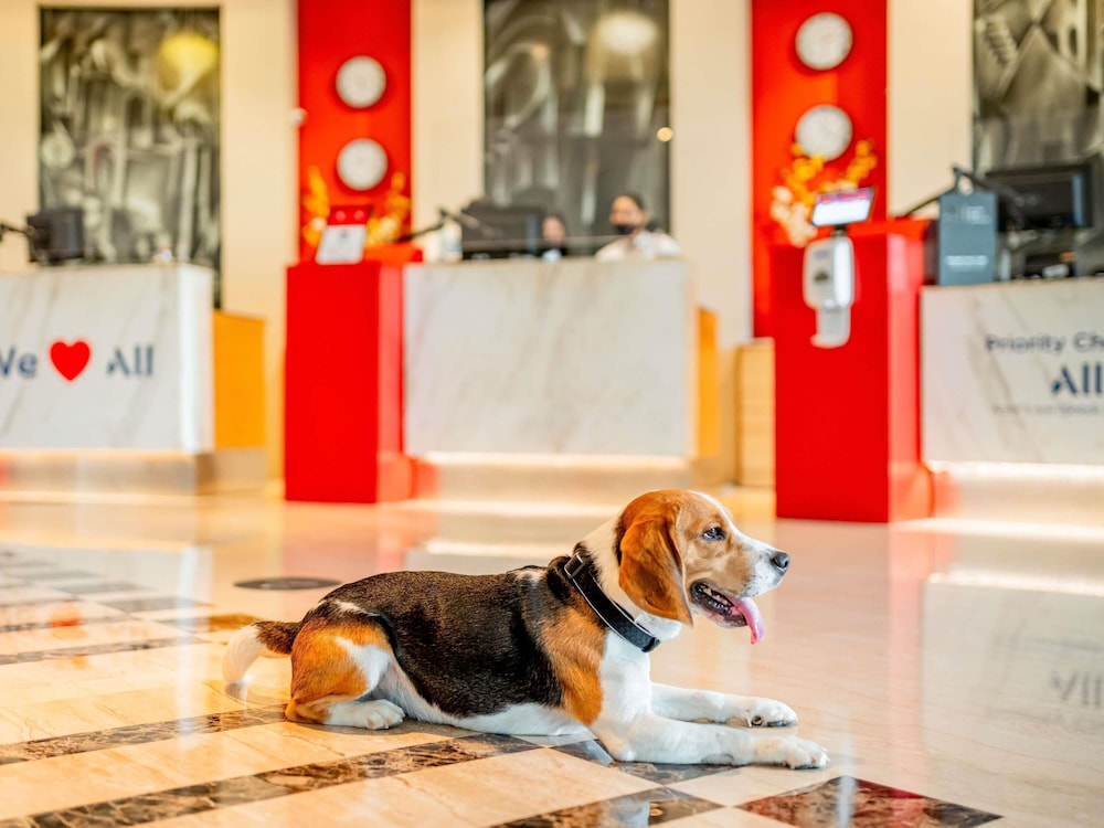 Ibis Barcelona Centro Sagrada Familia 12/70
