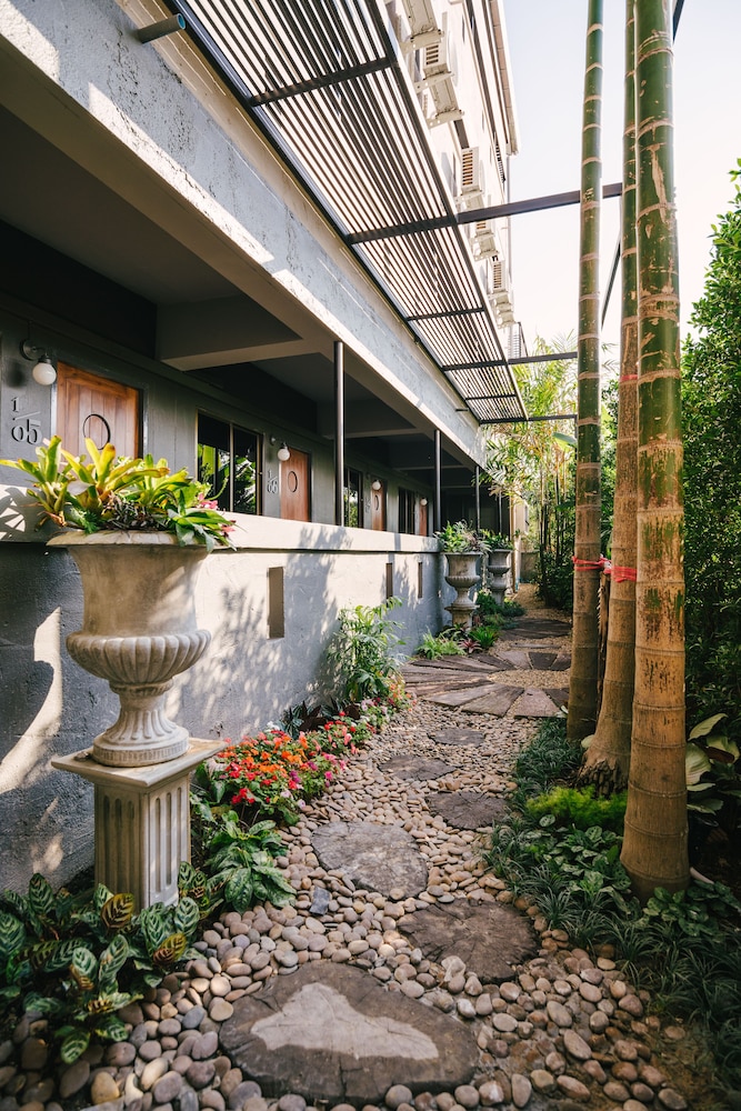 Cozy Inn Chiang Mai 5/61