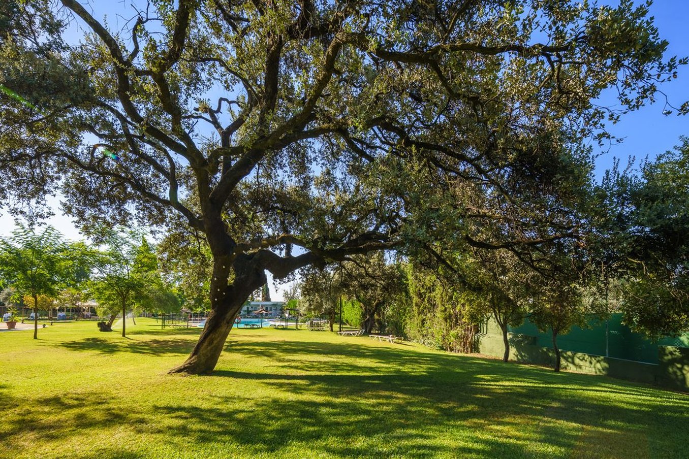 Crisol Jardines de Cordoba 37/78