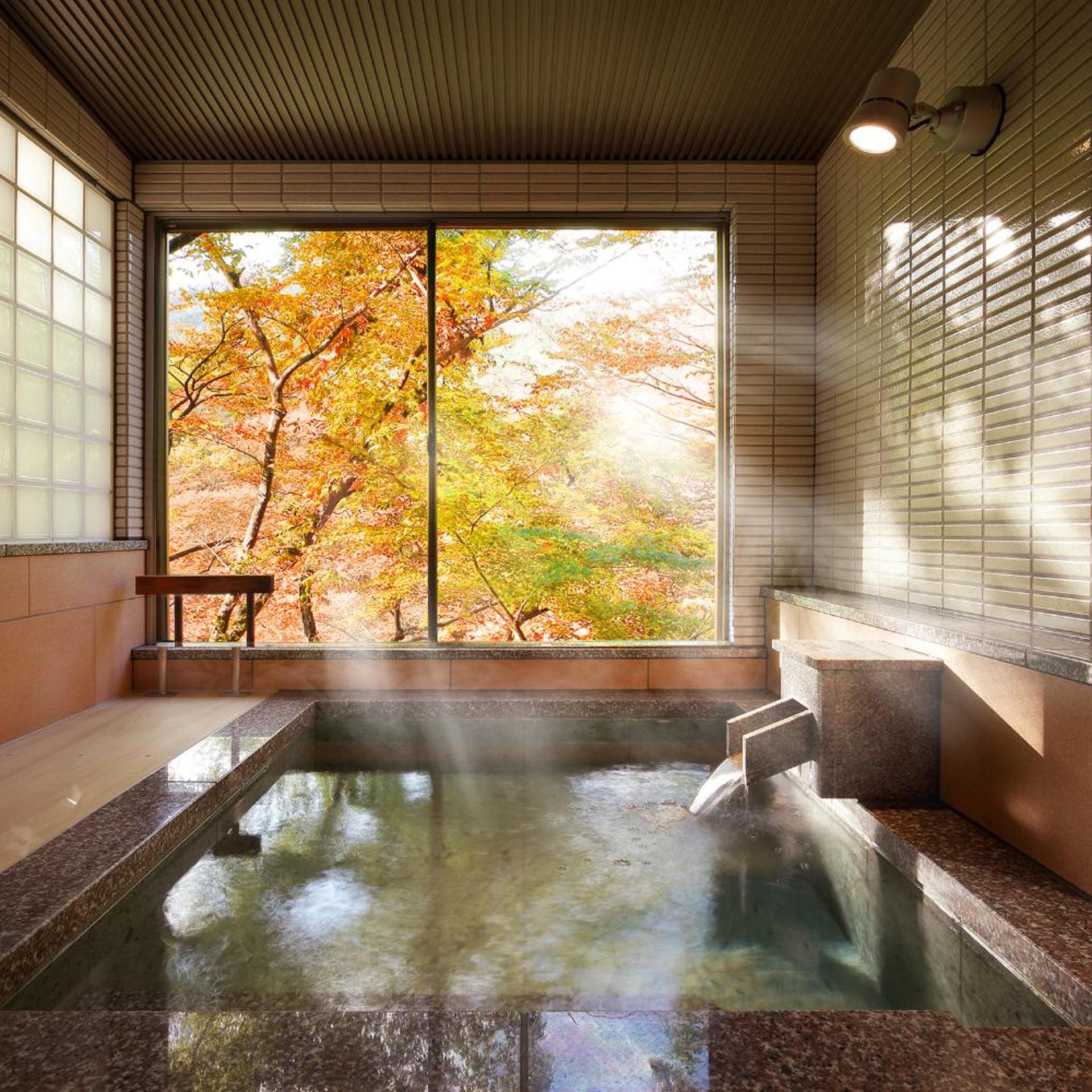 Tanigawa Hotel Nanaeyae 20/49