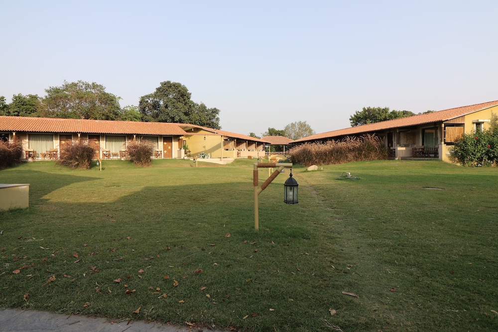 Asiatic Lion Lodge 36/50
