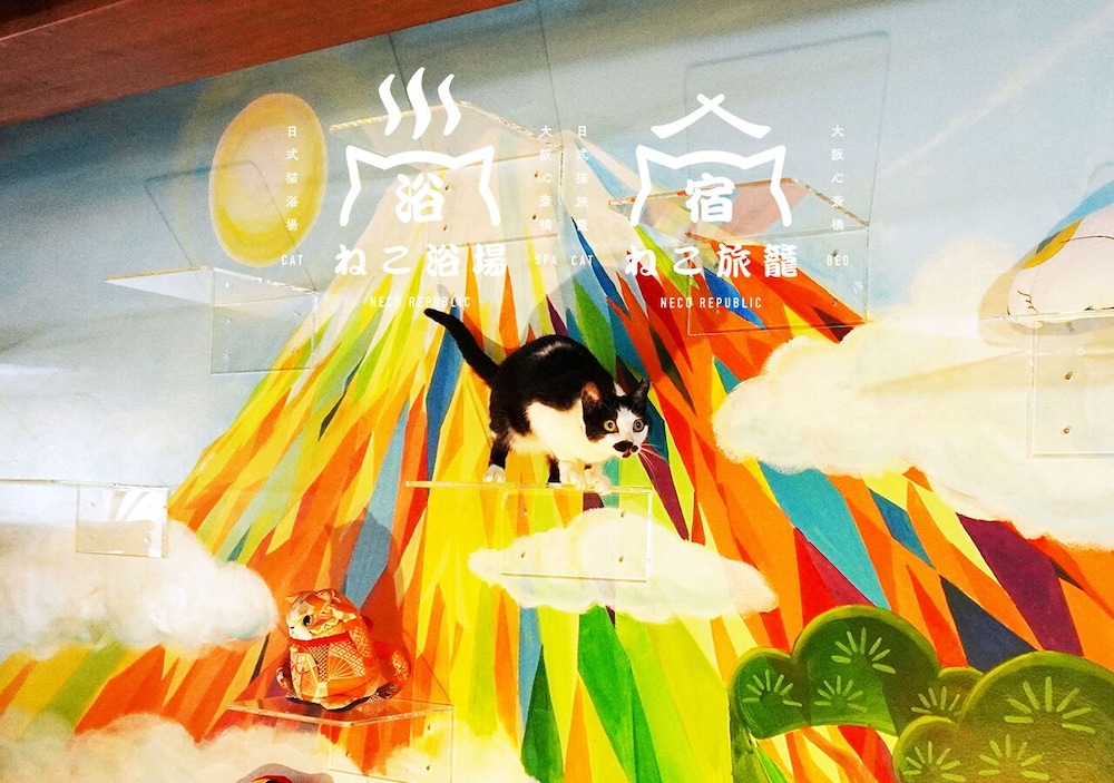 Cat Spa & Cat Ryokan Neco Republic Osaka 32/37
