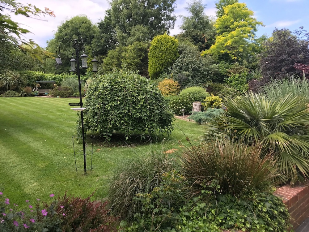 Beechwood B&amp;B 26/32