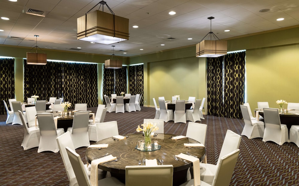 Aviator Hotel & Suites, Bw Signature Collection 34/38
