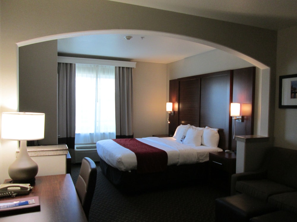 Comfort Inn & Suites Galt Lodi North 15/39
