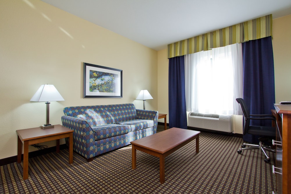Holiday Inn Express Hotel Suites Denver East Peoria Street 38/59