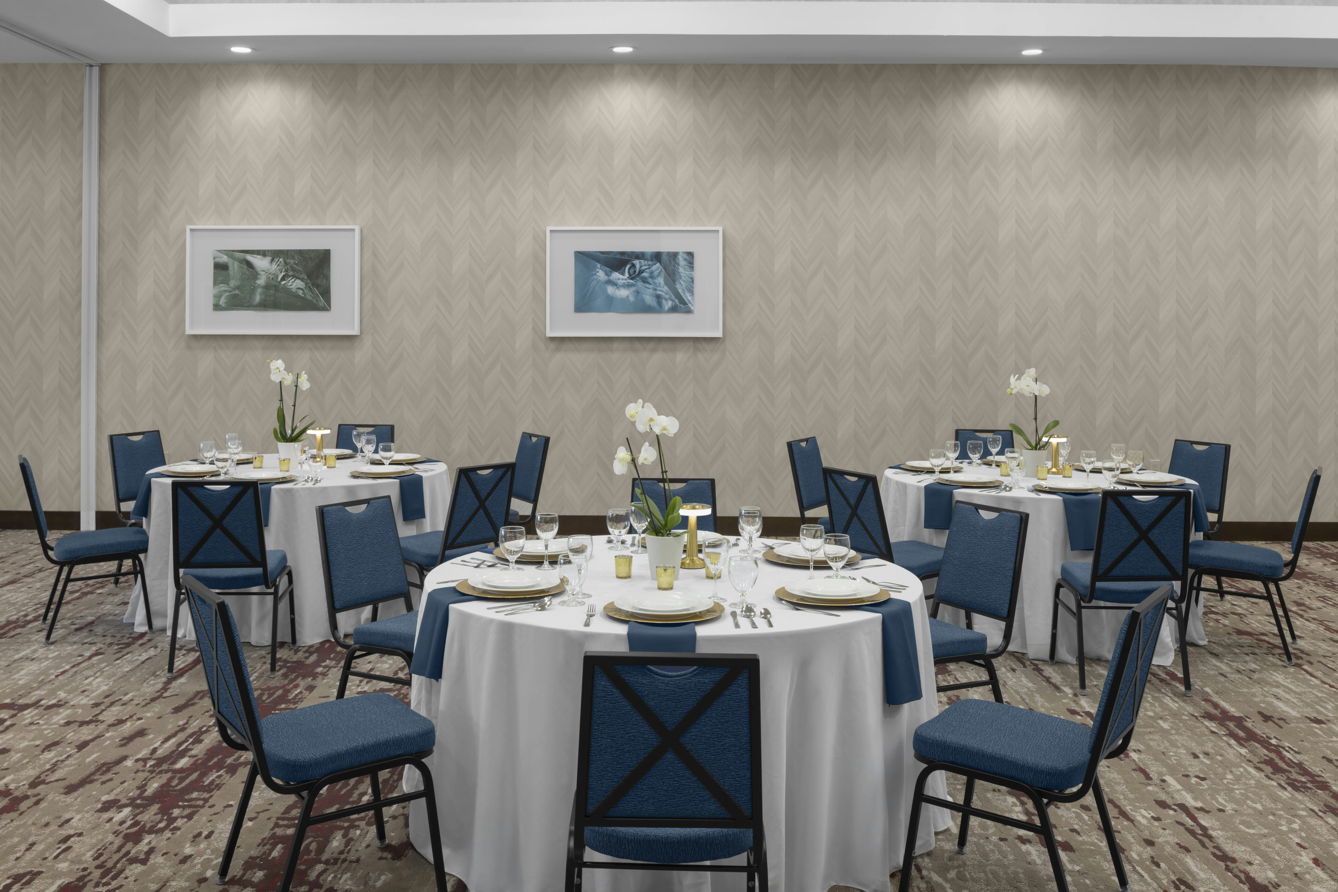 Hilton Garden Inn San Marcos 63/67