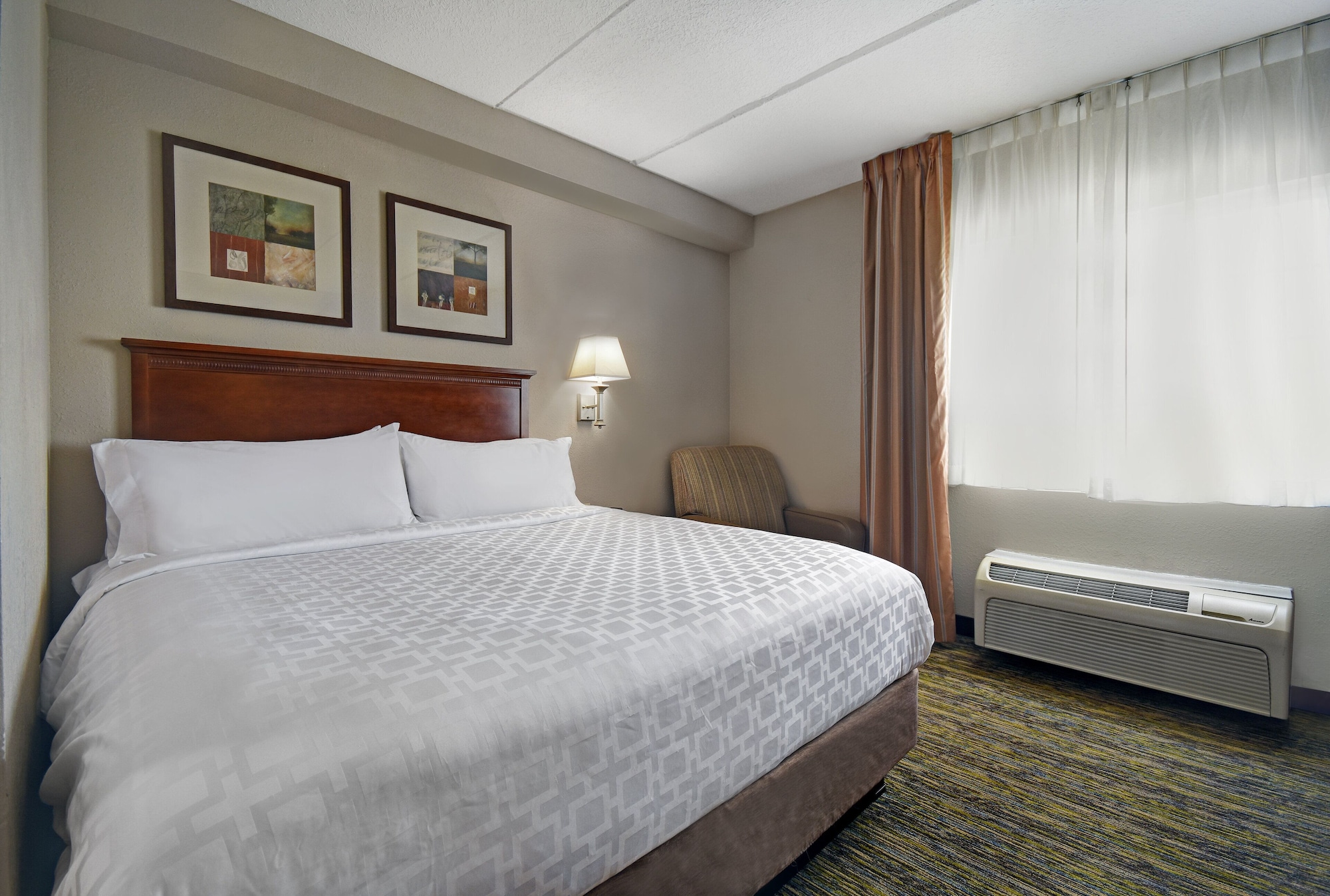 Renovated, Studio, Suite, King Bed
