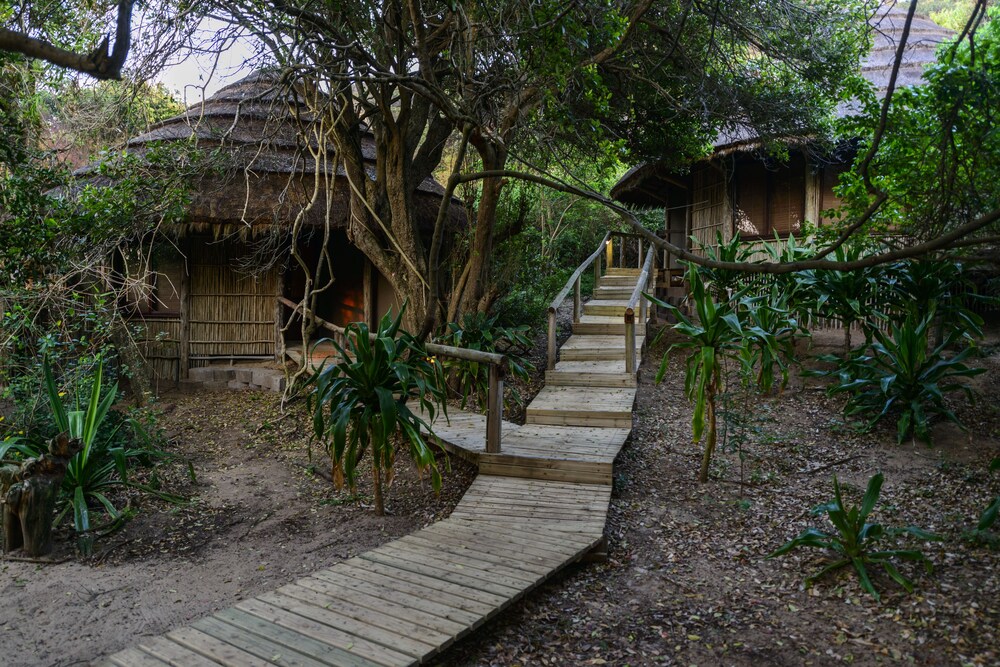 Thonga Beach Lodge 45/50