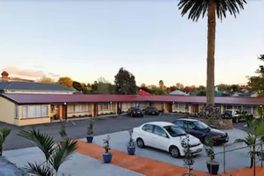 Auckland Phoenix Palm 24/32